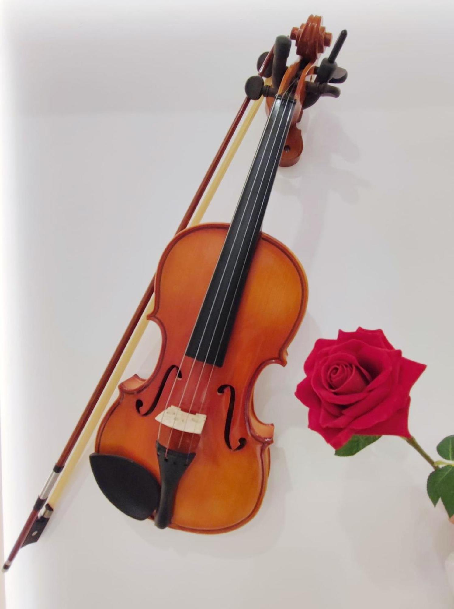 Arena Concert Concerto Love - Historic House Amorino At "Palazzo Tiolo" Palace Verona Exterior foto